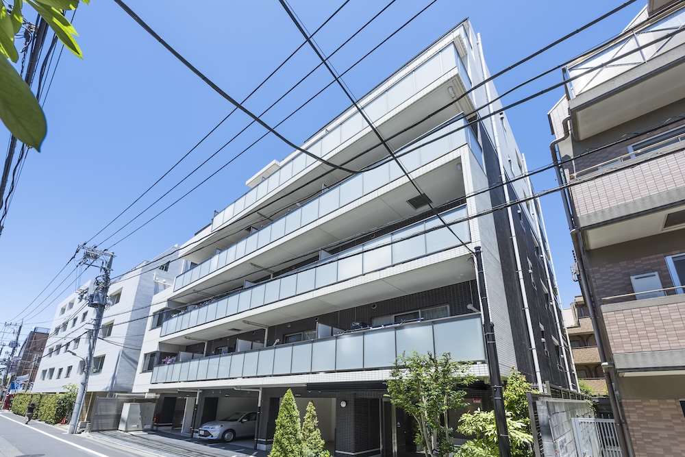 鵜の木プロジェクト